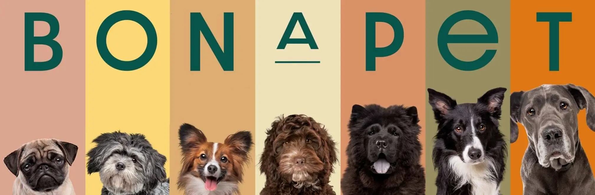 Bonapet Startseiten-Banner mit verschiedenen Hunderassen für hochwertige Heimtierprodukte und natürliche Hundepflege
