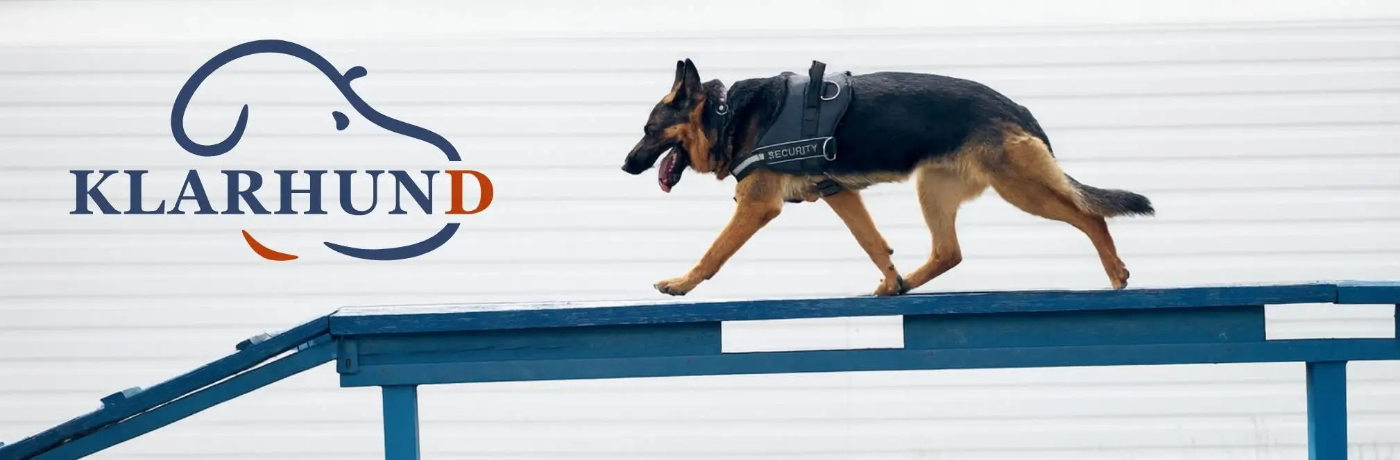 Klarhund Hundetraining Banner mit Deutschem Schäferhund beim Agility, steht für professionelle Gehorsams- und Verhaltenserziehung