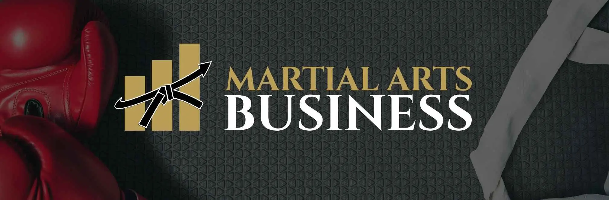 Startseite Banner für Kampfkunstunternehmen mit Boxhandschuhen und schwarzem Gürtel als Logo, Symbol für professionelles Coaching und Unternehmenswachstum