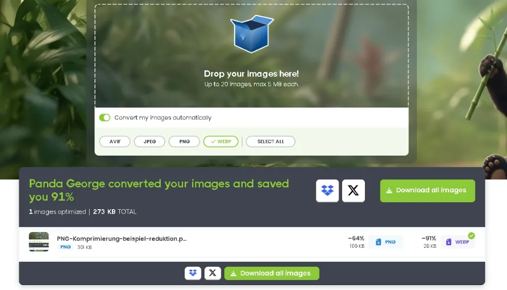 Screenshot eines Bildkomprimierungs-Tools mit 91 % Reduzierung der Dateigröße durch Umwandlung von PNG in WebP
