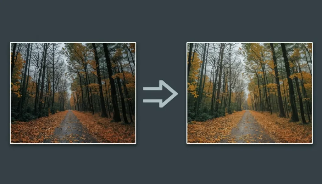 Bildoptimierung für Blogpost und Webseiten